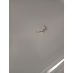 Narożnik PETER L - Monolith 84 - jasny szary - OUTLETU