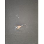 Łóżko kontynentalne PERA 90x200 - Monolith 84 - jasny szary - OUTLETU