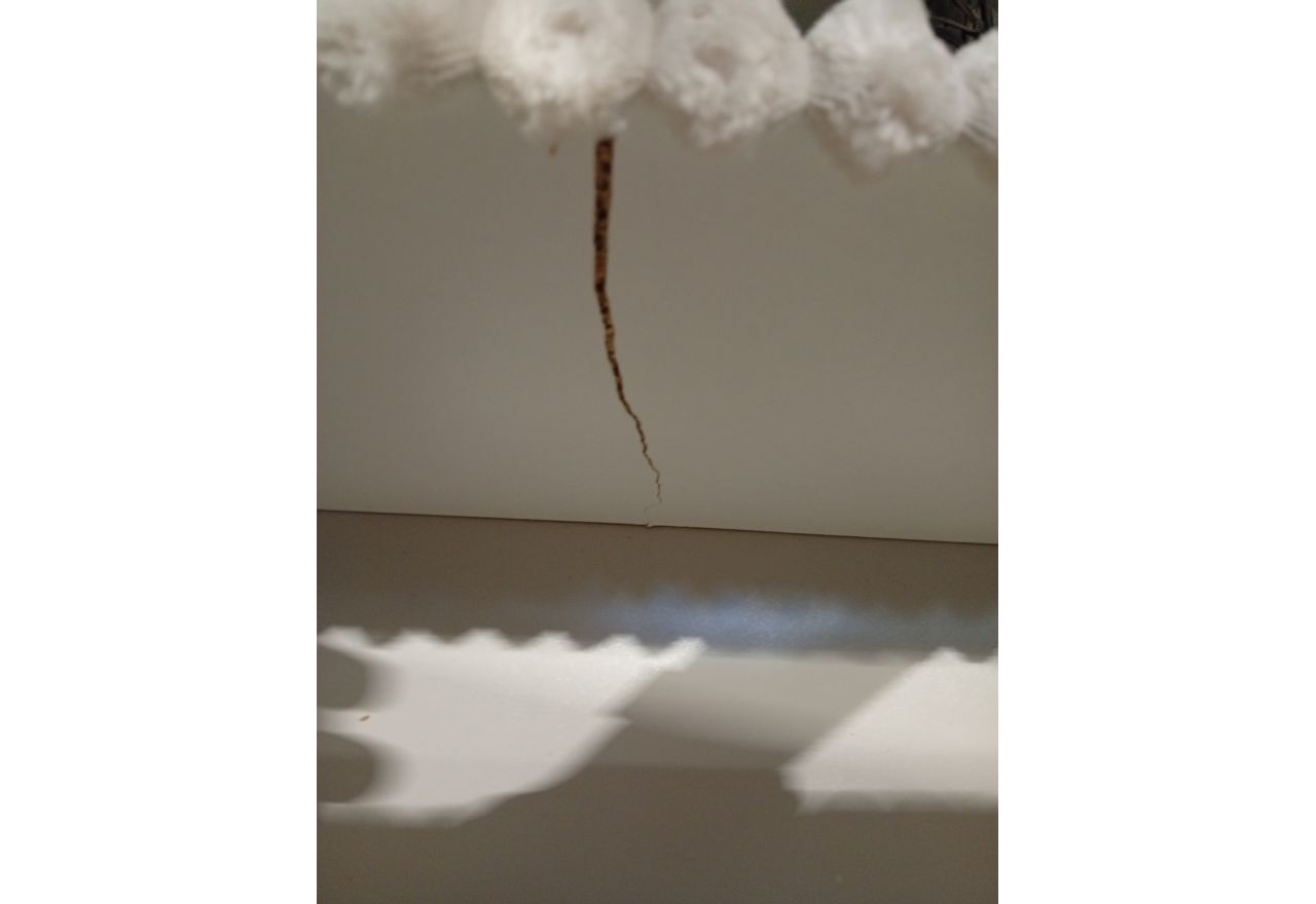 Łóżko kontynentalne TILIANO KING 160x200 - Tilia 01 - beżowy - OUTLETU