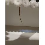 Łóżko kontynentalne TILIANO KING 160x200 - Tilia 01 - beżowy - OUTLETU