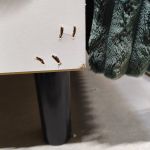 Narożnik AXEL U - Tilia 39 - zielony - OUTLETU