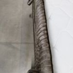 Łóżko kontynentalne TILIANO 200x200 - Tilia 11 - jasny brązowy - OUTLETU