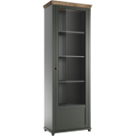 Wąska witryna stojąca w klasycznym stylu do salonu lub pokoju dziennego prawa - ELVAS WM Dąb Lefkas / Zielony