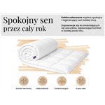 Zestaw Natena - kołdra całoroczna 160x200 + 2 poduszki 80x80