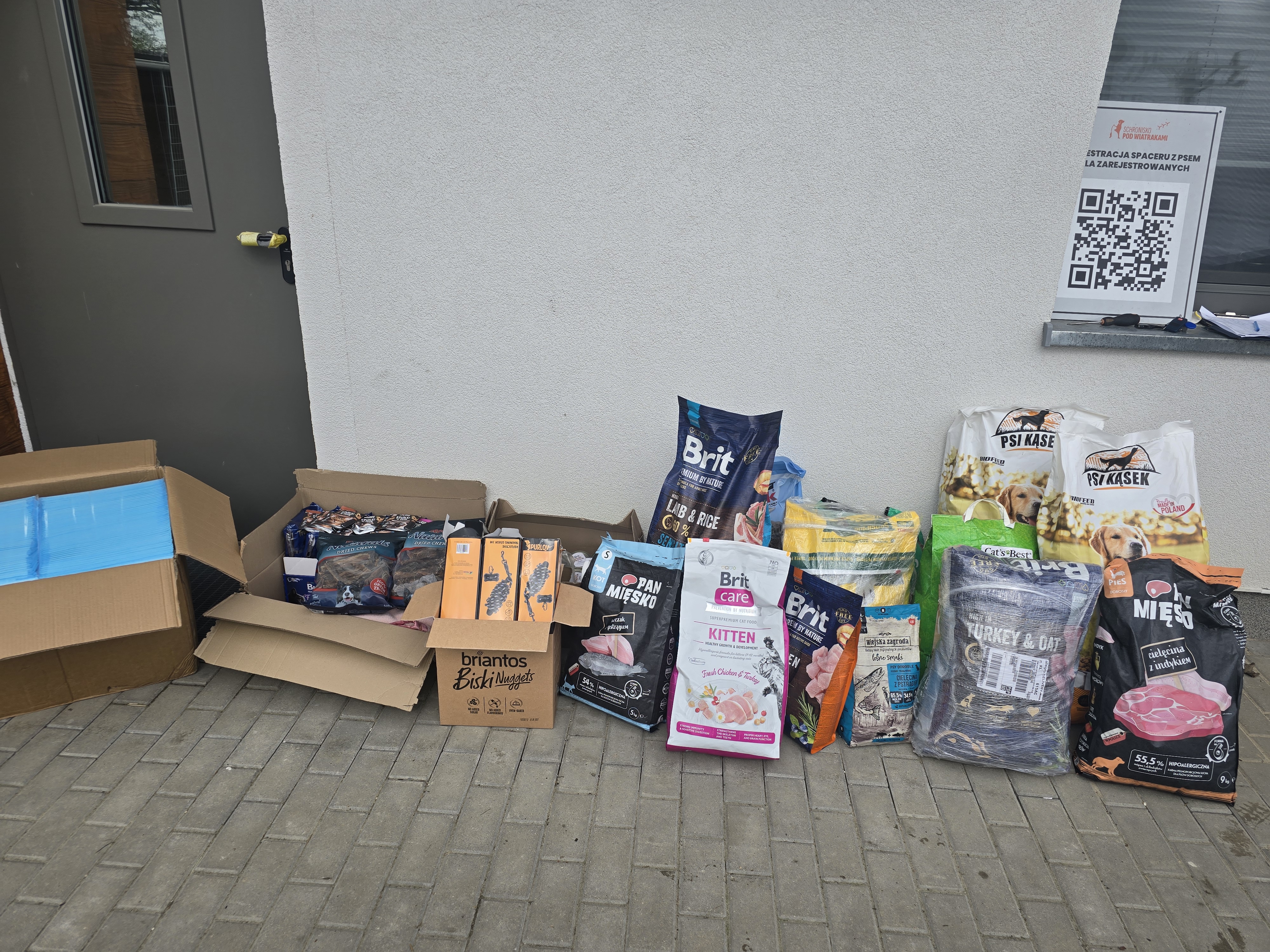 Pomagamy zwierzakom – zbiórka dla schroniska w Wysocku Wielkim – zdjęcie główne 2
