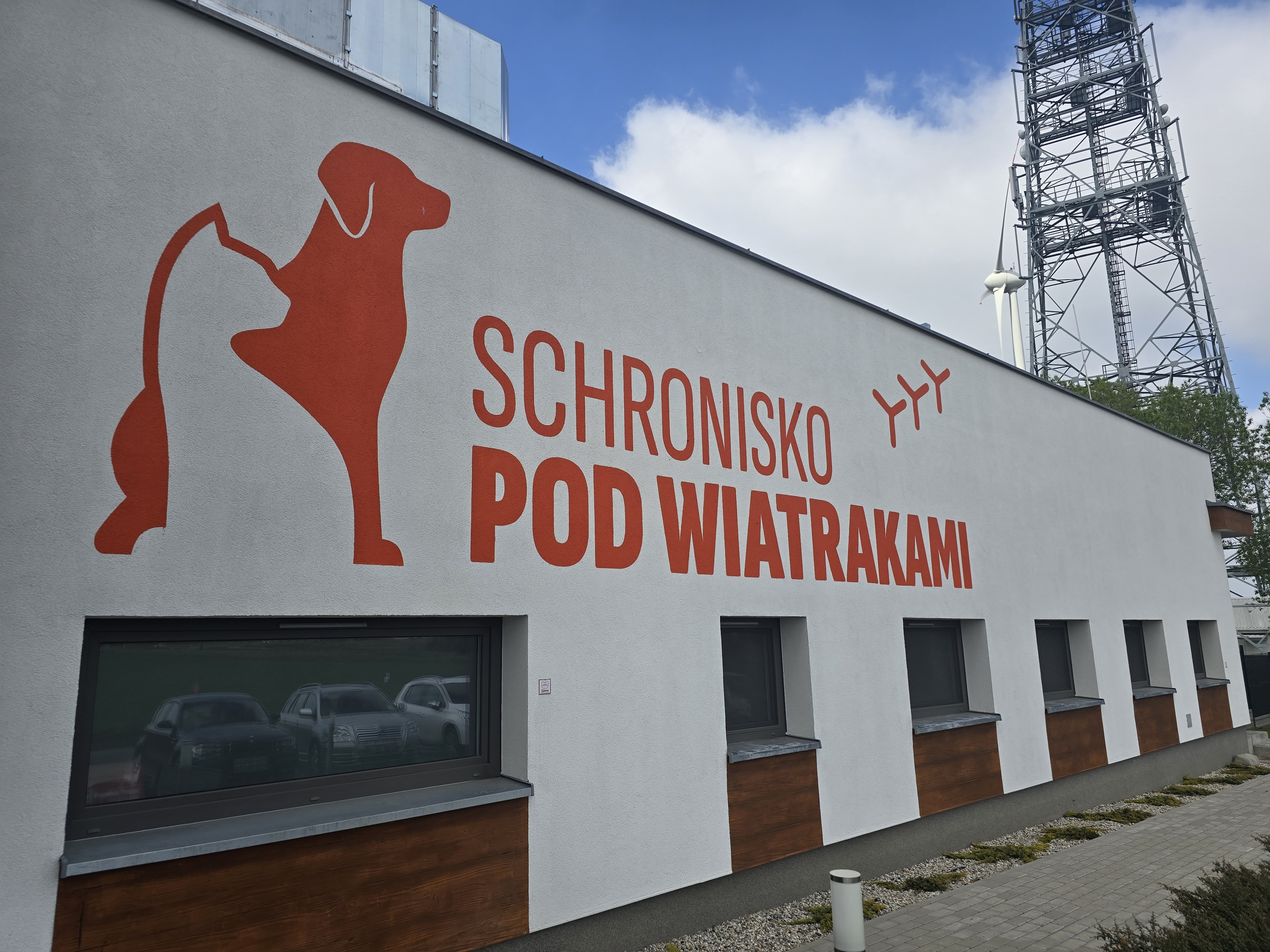 Pomagamy zwierzakom – zbiórka dla schroniska w Wysocku Wielkim – zdjęcie główne 1